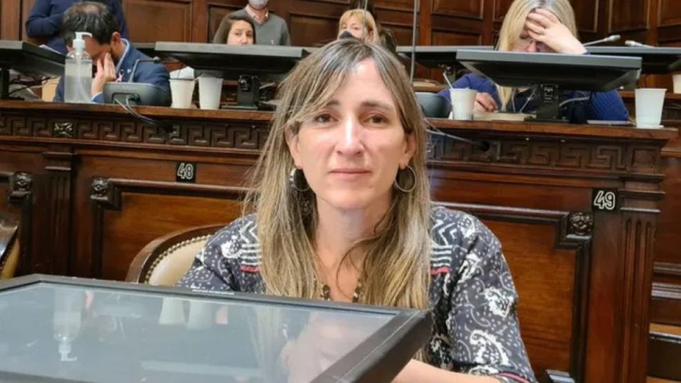 Diputada mendocina de LLA propone exámenes psicológicos para candidatos y&nbsp;funcionarios