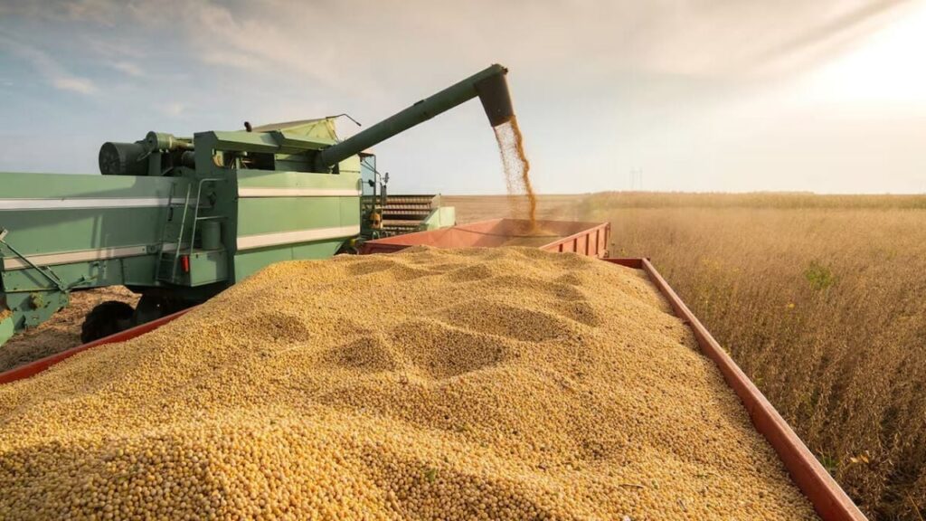 Proyectan que eliminar retenciones impulsaría exportaciones por más de US$50.000&nbsp;millones