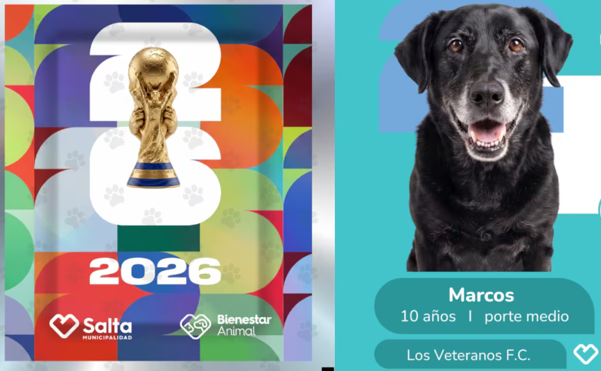 Inspirada en el álbum del Mundial, Durand impulsa una campaña para fomentar la adopción responsable de perros: “Más segundas oportunidades y más finales felices”