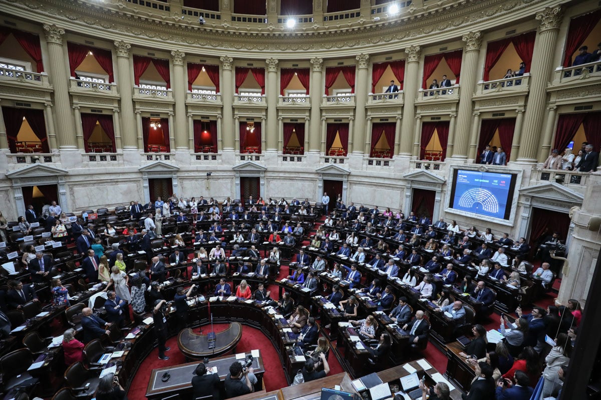 Diputados aprobó la Ley Hojarasca y el oficialismo dio otro paso en su ...