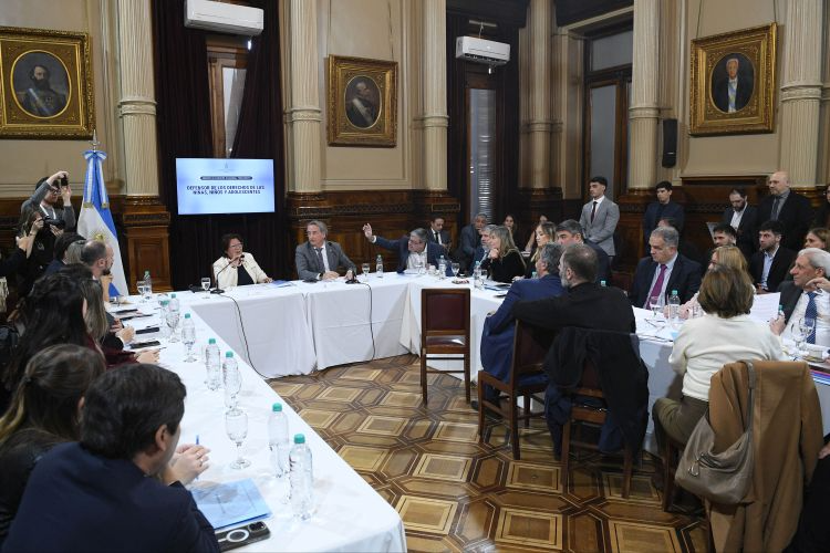 La Justicia anuló la conformación de la bicameral del Defensor del Niño tras un amparo del PJ