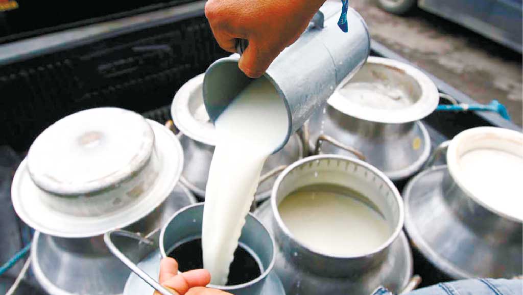 La producción láctea alcanzó un récord de diez años y las exportaciones tocaron máximos desde&nbsp;2012