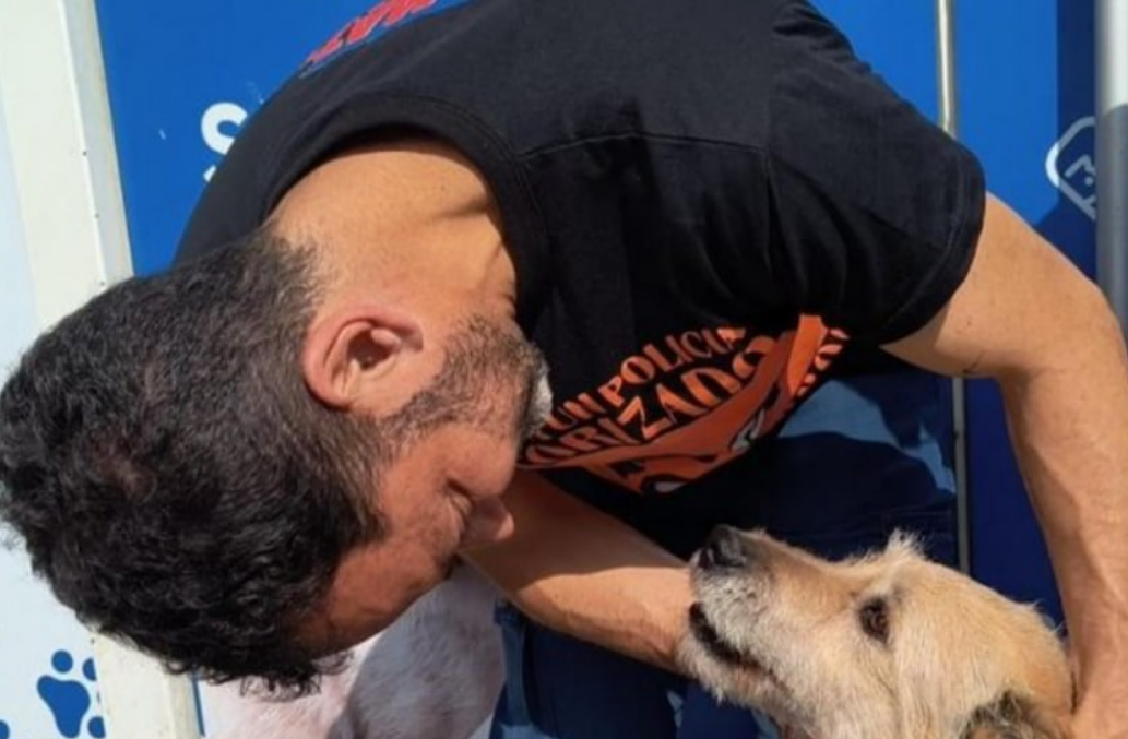 Durand presentó la «Ley Lola» para endurecer las sanciones por maltrato y abandono animal: «Quien abandona debe pagar las consecuencias»