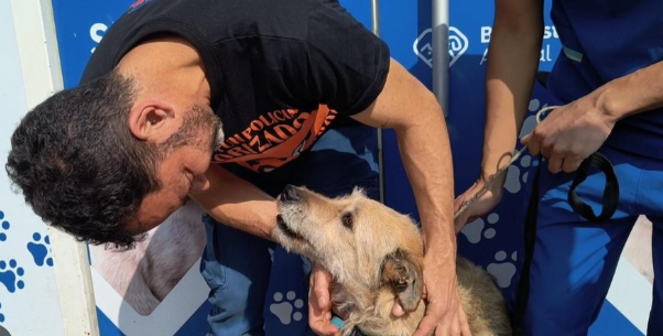 Durand impulsa la «Ley Lola» para endurecer las sanciones contra el maltrato y el abandono animal