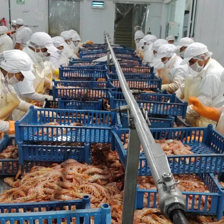 La producción pesquera creció 232,6% en junio y acumuló una suba del 34,8% en el semestre