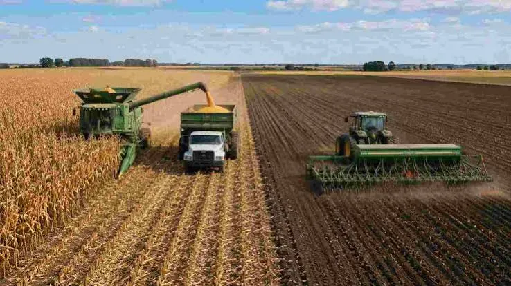 El agro prevé un récord histórico de exportaciones por US$42.200 millones